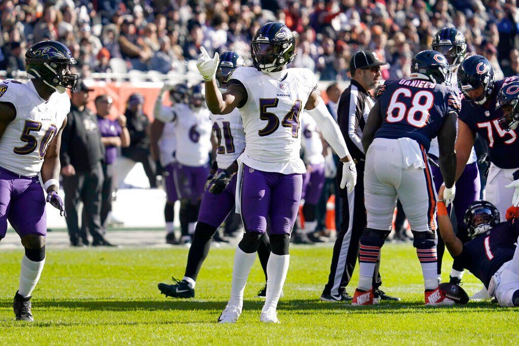 Ravens Bears Football